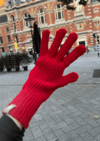 Compass golgi gloves